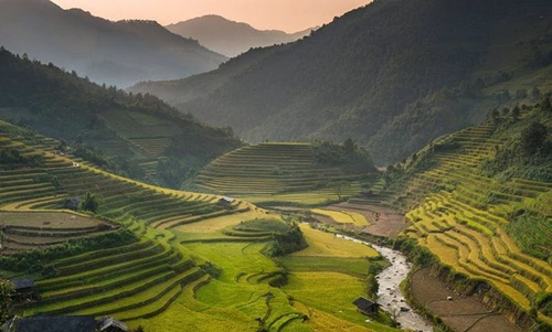ruộng bậc thang Mù Cang Chải